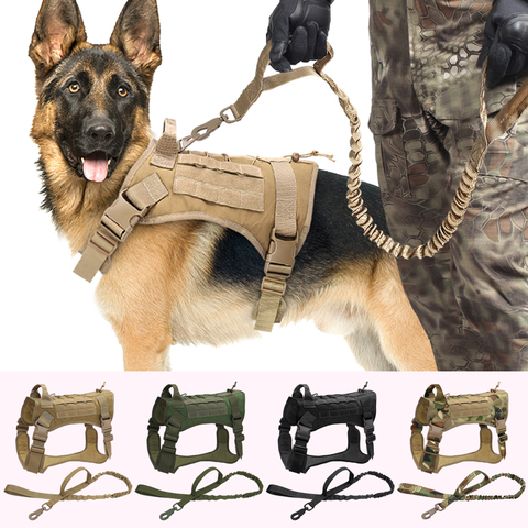 Arnés de entrenamiento para perros, Correa táctica