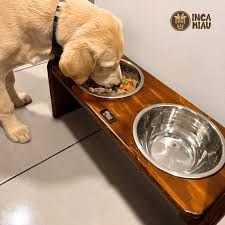 Comedero para perro Modelo Ayku miel
